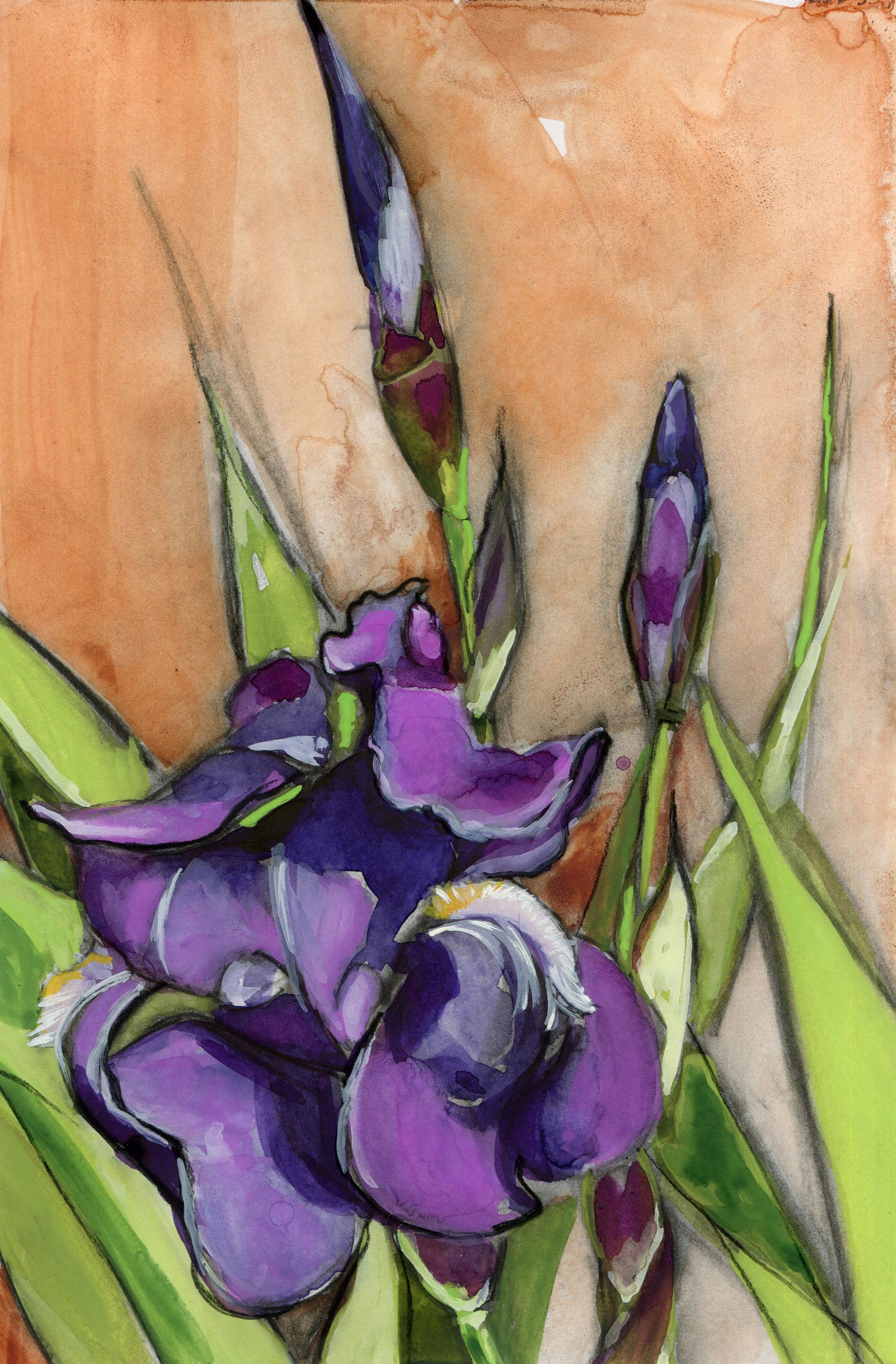 Watercolor and gouache painting of a blooming purple iris with green leaves against a textured transparent brown background. The artwork conveys a vibrant and delicate mood.