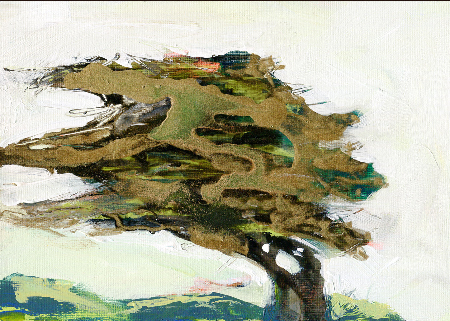 Coastal Cypress I - 5x7 Print