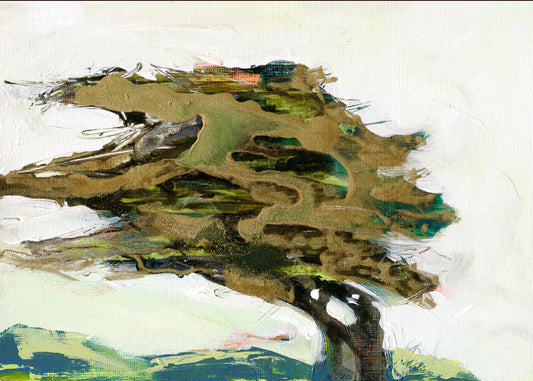 Coastal Cypress I - 5x7 Print