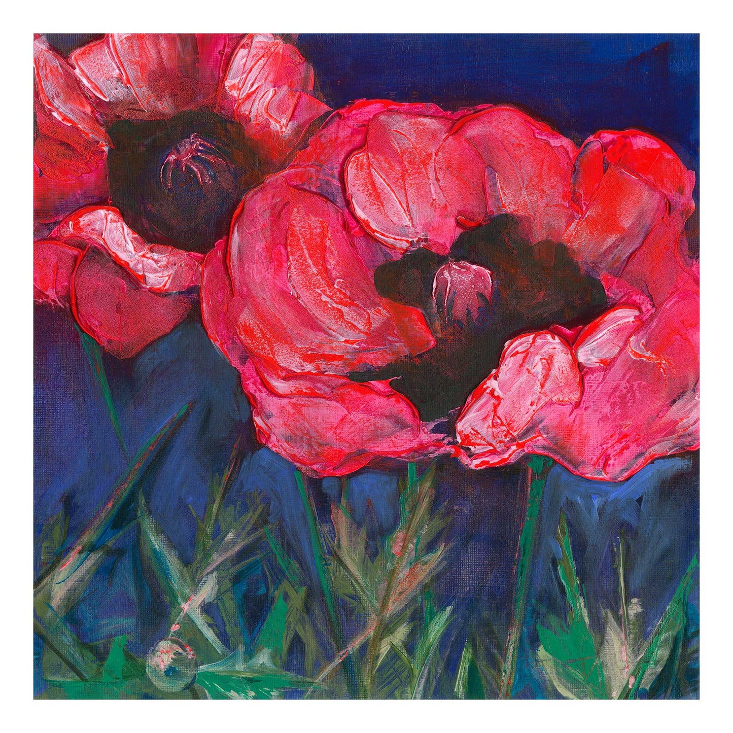 Red Poppies Dark Sky - Fine Art Print