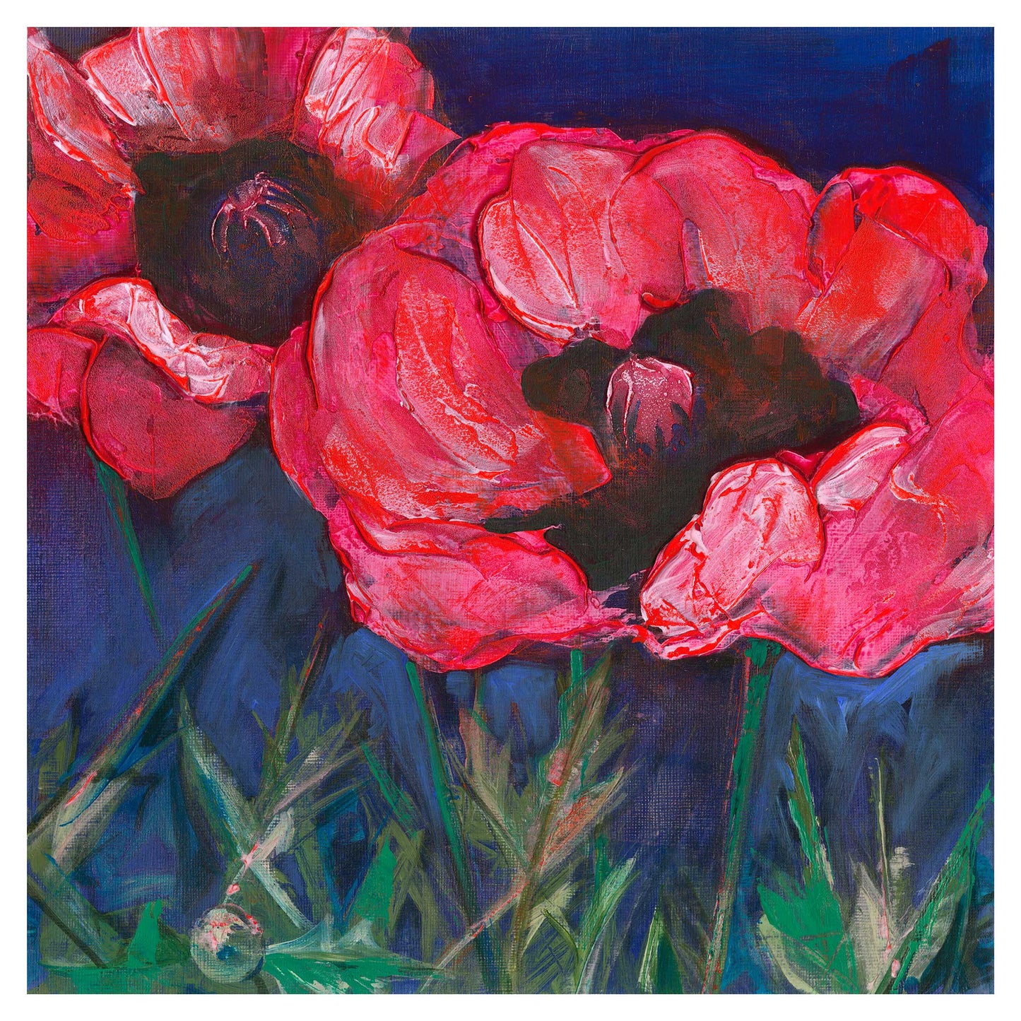 Red Poppies Dark Sky - Fine Art Print