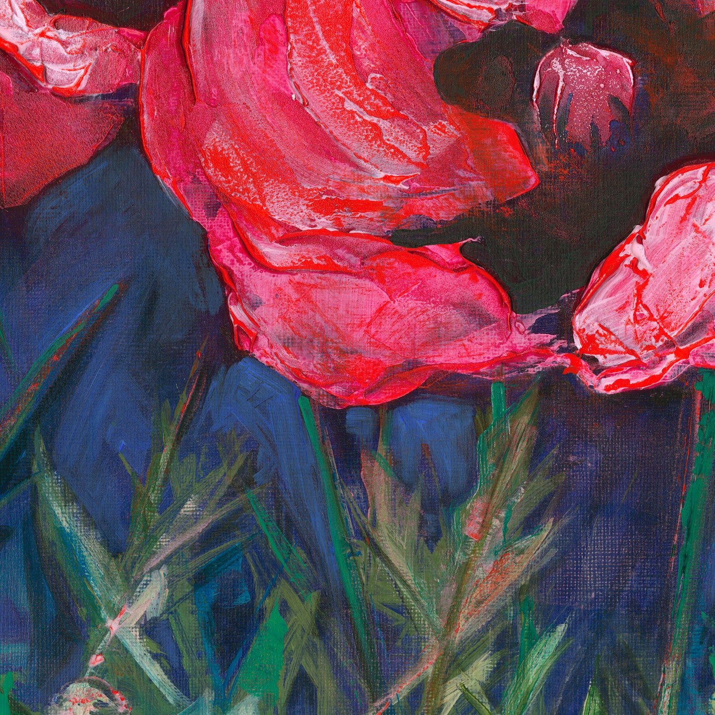 Detail of a  square print of a painting in textural paint of red poppies on a dark midnight blue background with green foliage.