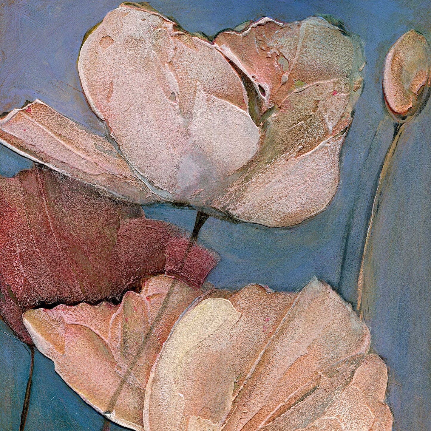 Six Poppy Portraits Painting 5x5 Box Card Set