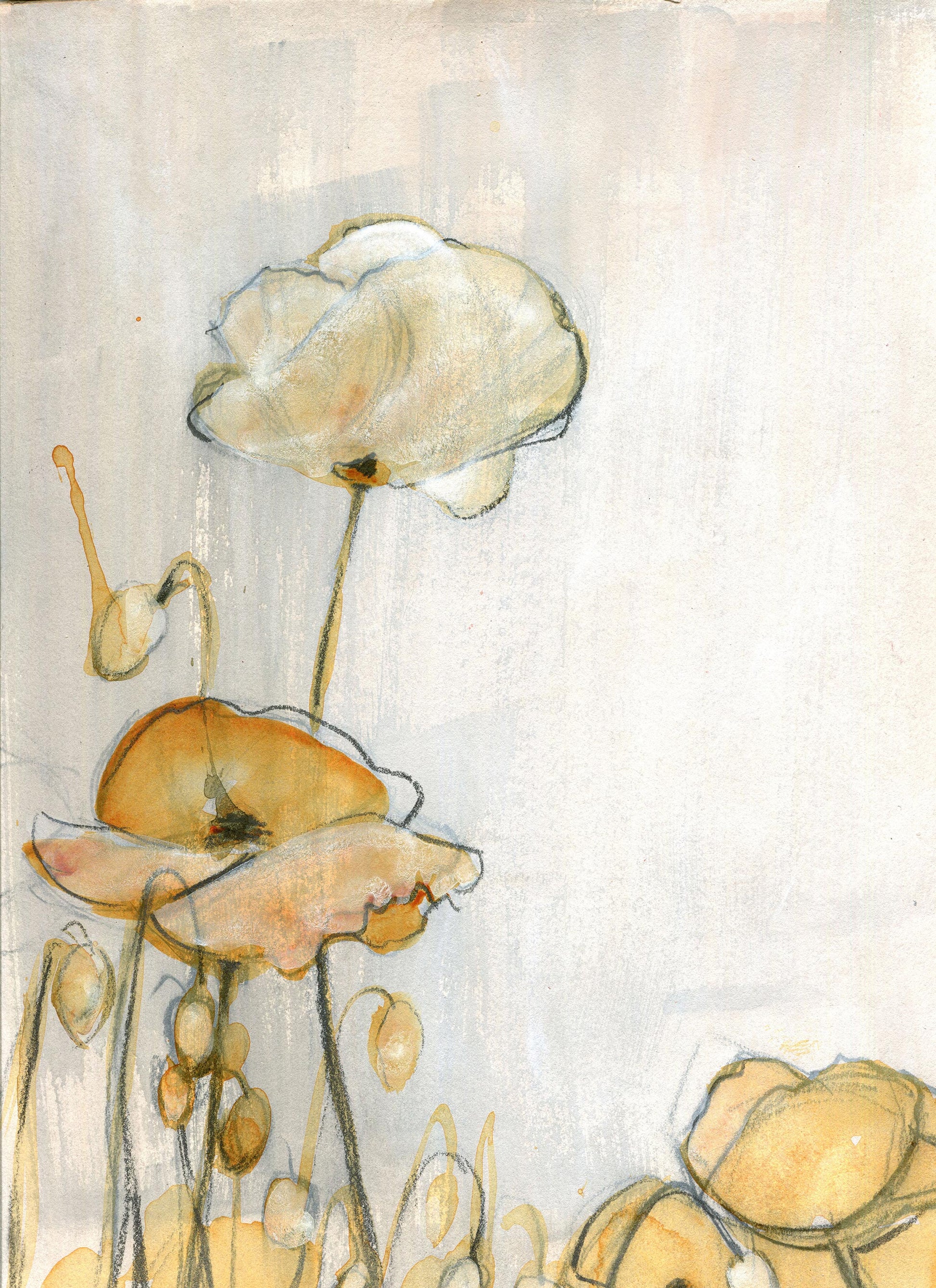 Light cream and orange poppies with soft linework on a pale background in vertical format
