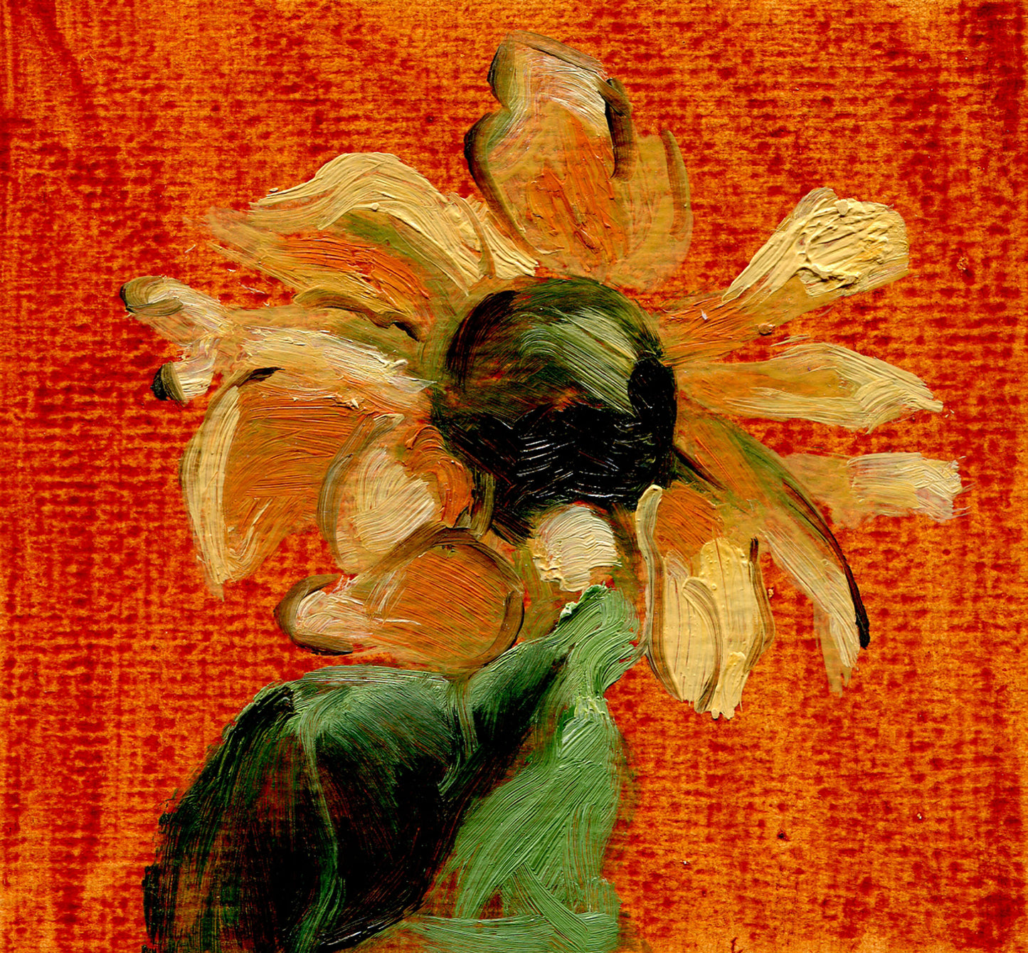 Black Eyed Susan - 4x5 inch Oil Painting on Paper