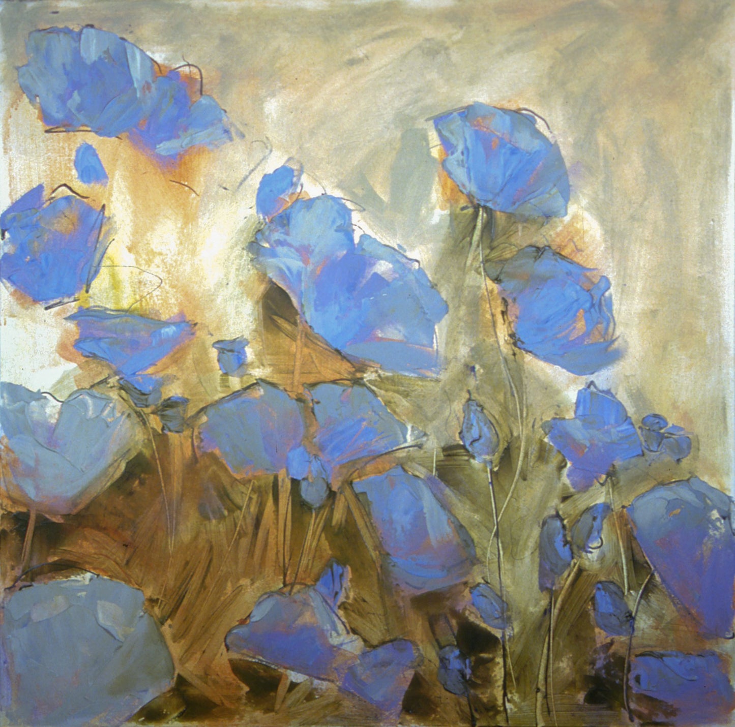 Blue Poppy Gesture - 6x6 inch Print