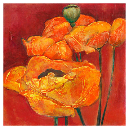Orange and Red Poppies - Fine Art Print