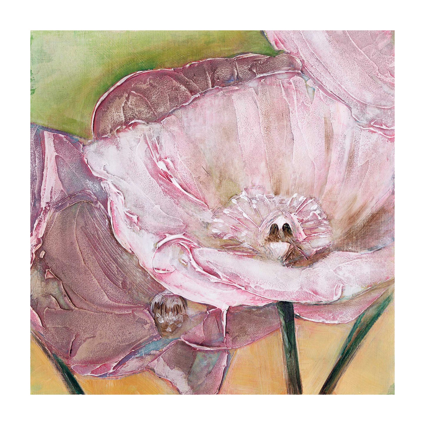 Pink Poppies Up Close -  Fine Art Print