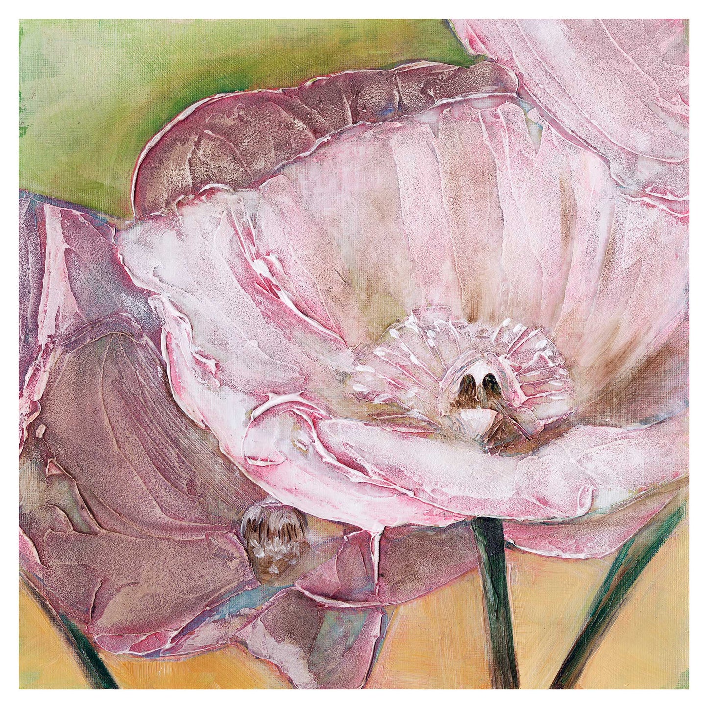 Pink Poppies Up Close -  Fine Art Print