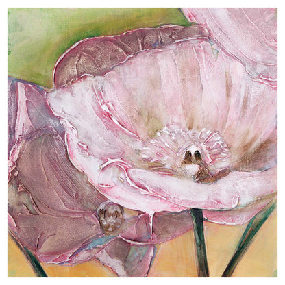 Pink Poppies Up Close -  Fine Art Print