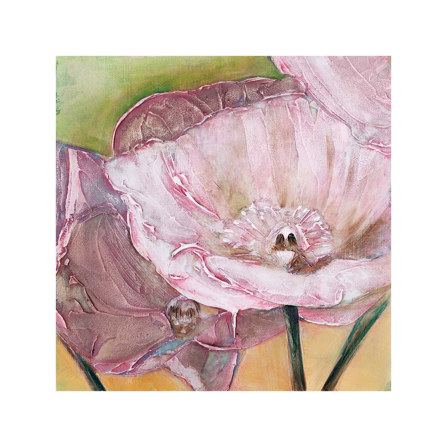 Pink Poppies Up Close -  Fine Art Print