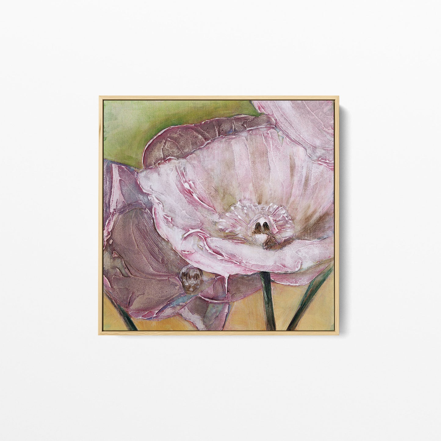Pink Poppies Up Close -  Fine Art Print