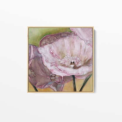 Pink Poppies Up Close -  Fine Art Print