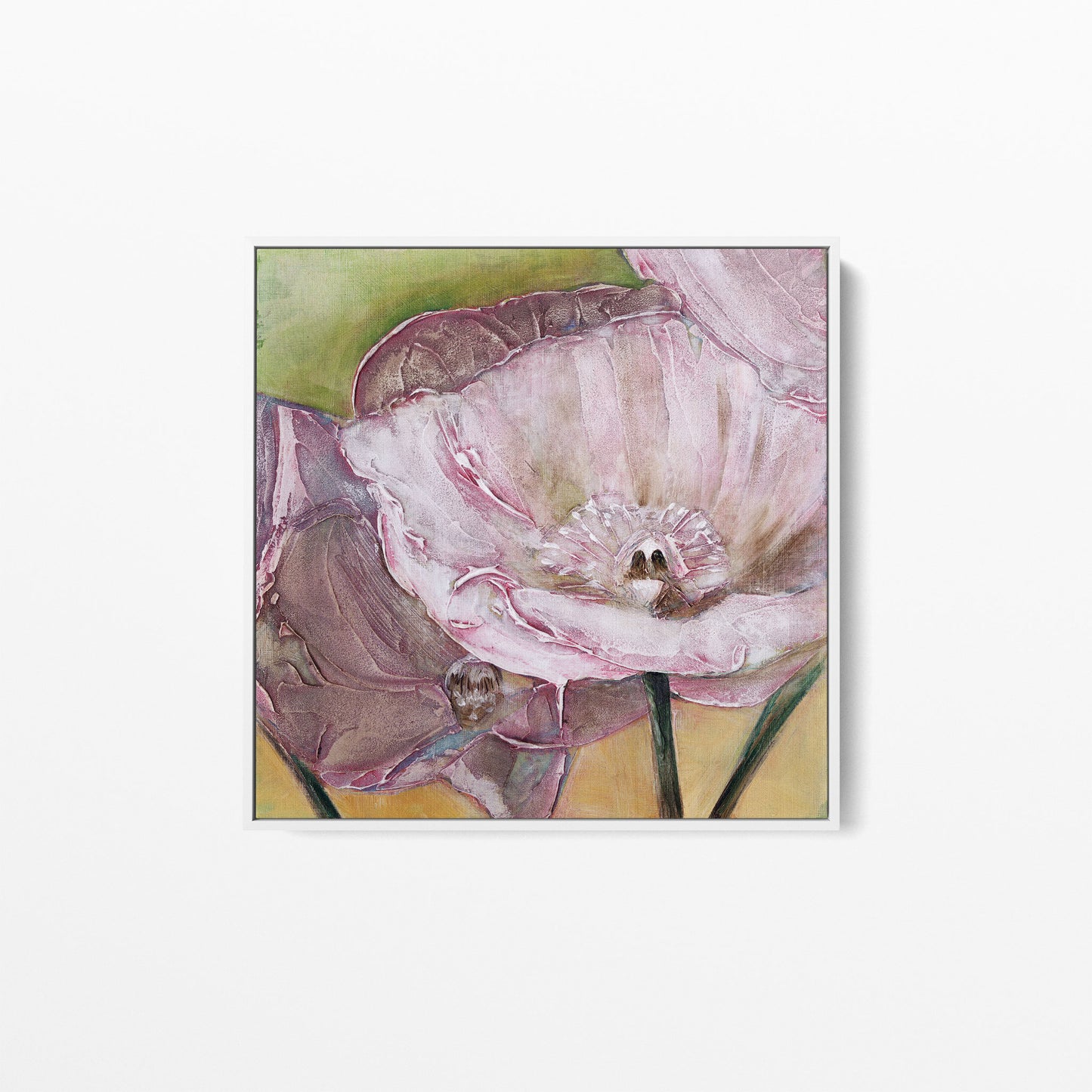 Pink Poppies Up Close -  Fine Art Print