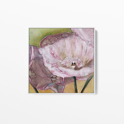 Pink Poppies Up Close -  Fine Art Print