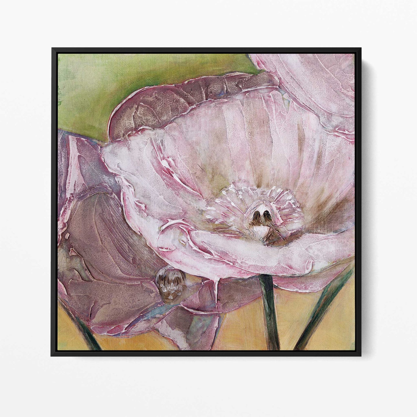 Pink Poppies Up Close -  Fine Art Print