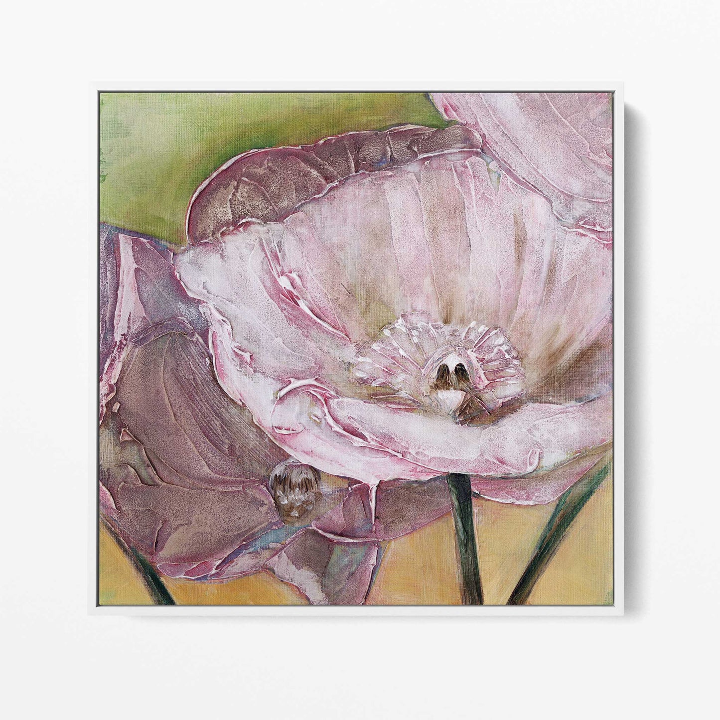 Pink Poppies Up Close -  Fine Art Print