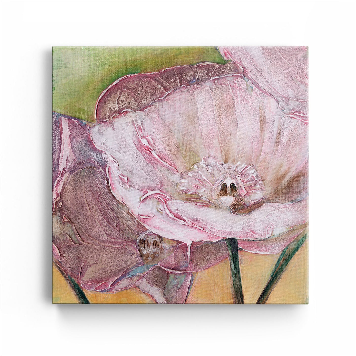 Pink Poppies Up Close -  Fine Art Print