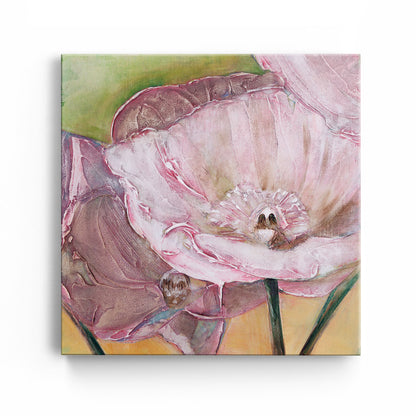Pink Poppies Up Close -  Fine Art Print