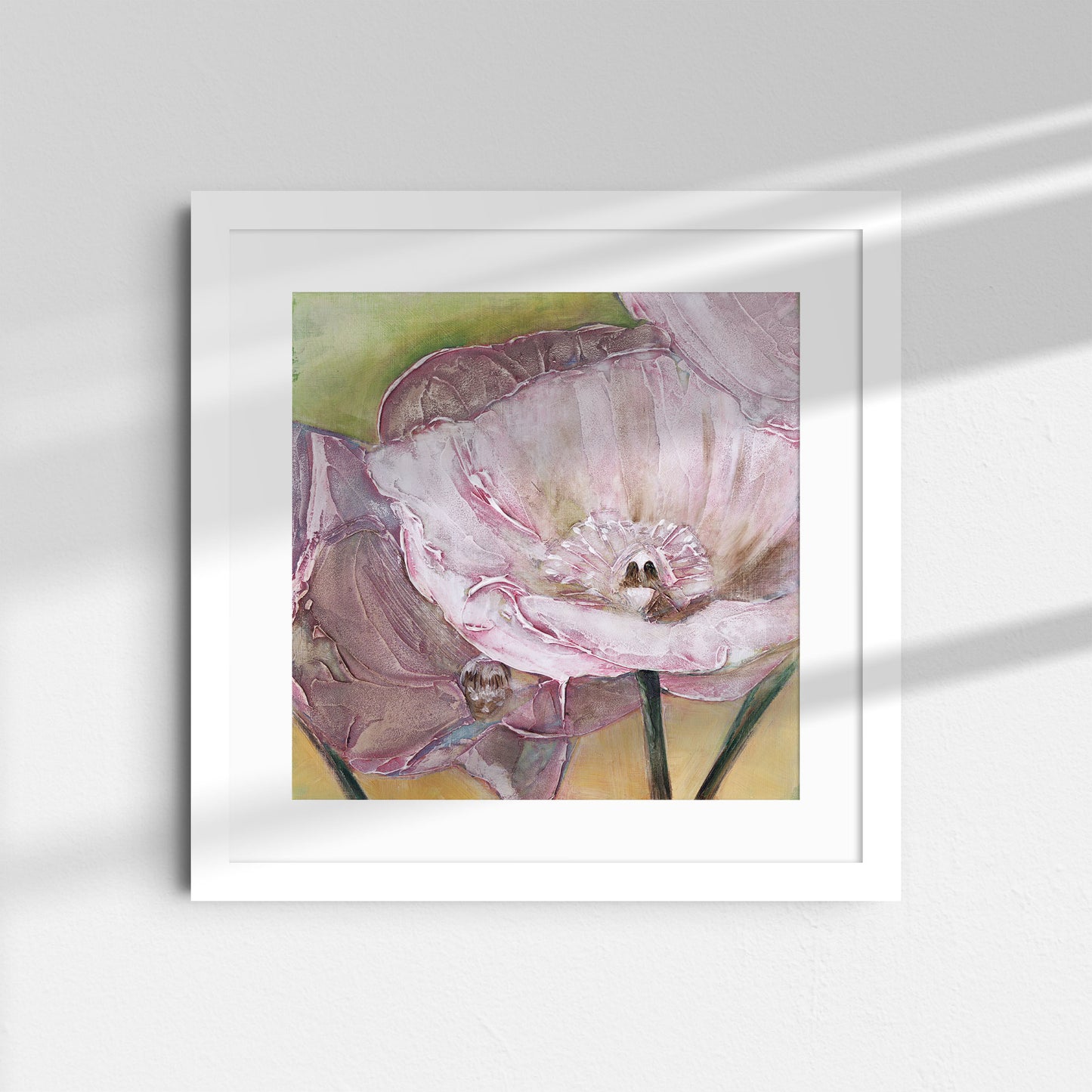 Pink Poppies Up Close -  Fine Art Print