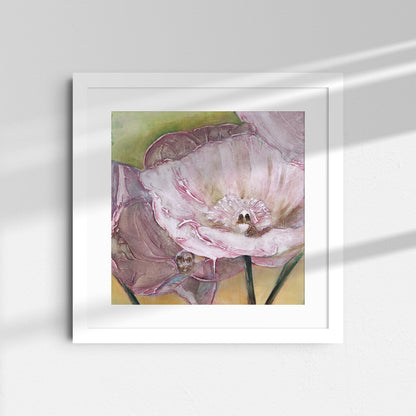 Pink Poppies Up Close -  Fine Art Print