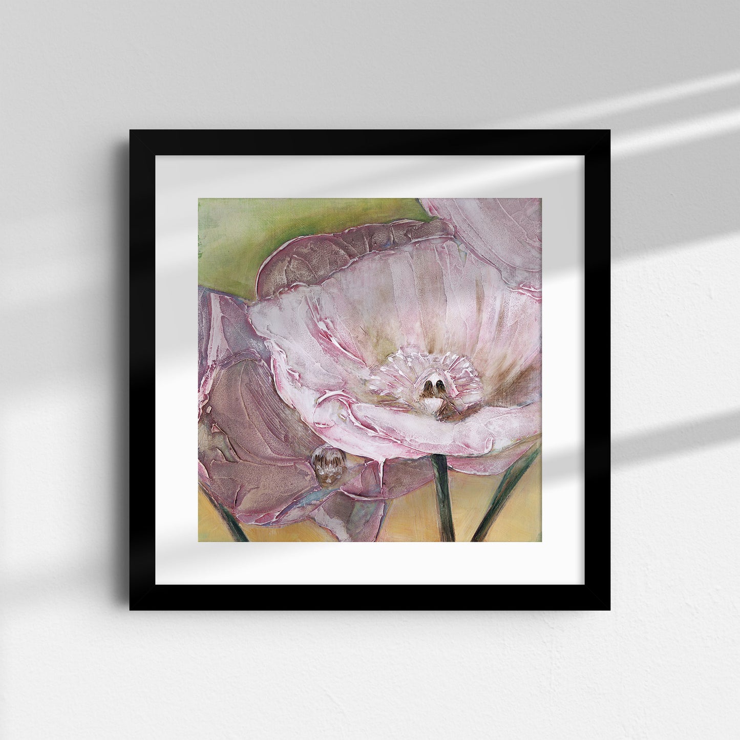 Pink Poppies Up Close -  Fine Art Print