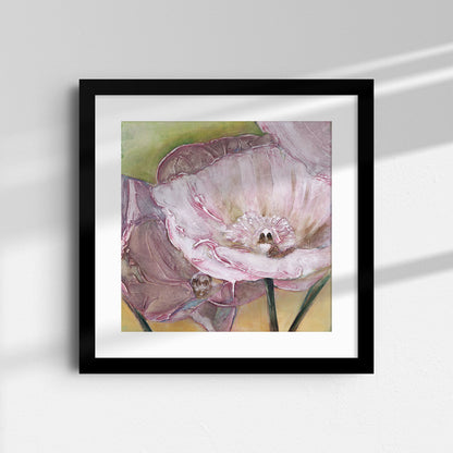 Pink Poppies Up Close -  Fine Art Print
