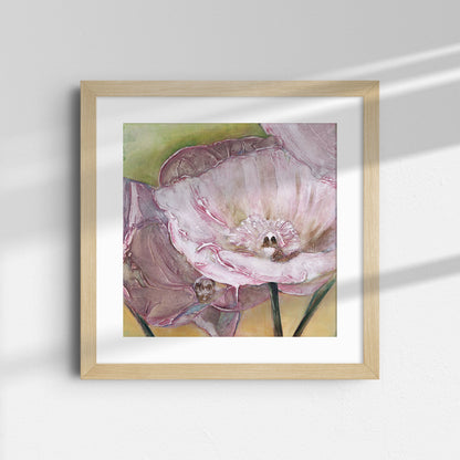Pink Poppies Up Close -  Fine Art Print