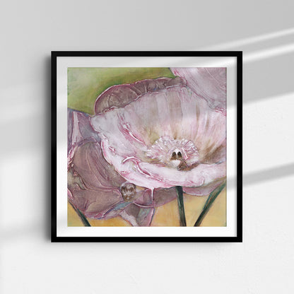 Pink Poppies Up Close -  Fine Art Print
