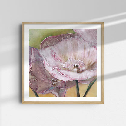 Pink Poppies Up Close -  Fine Art Print