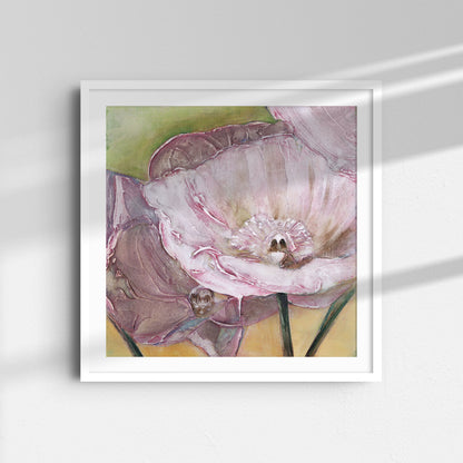Pink Poppies Up Close -  Fine Art Print