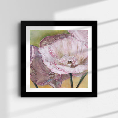 Pink Poppies Up Close -  Fine Art Print