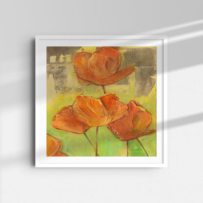 Brilliant California Poppies -  Fine Art Print