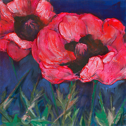Limited edition archival giclee print of three large bold red and pink poppies with dramatic dark centers against a deep navy blue background with green foliage at base