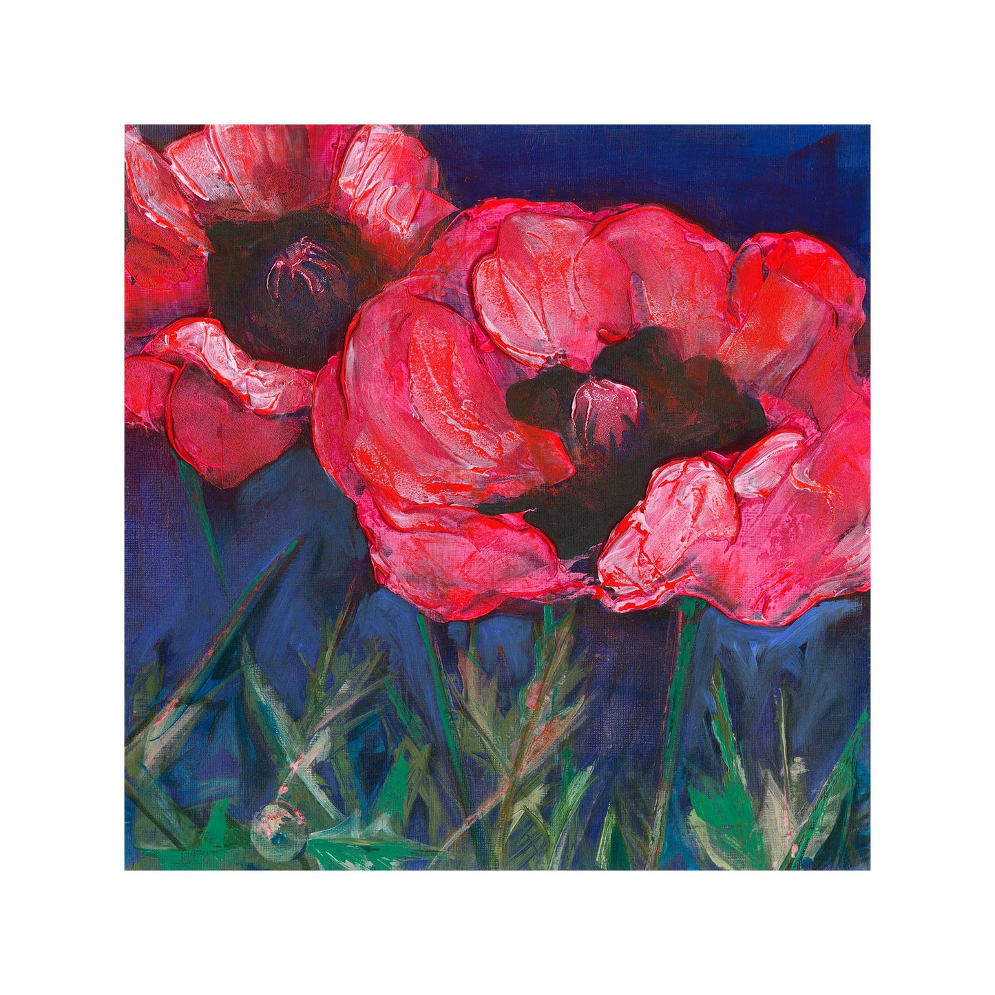 Red Poppies Dark Sky -  Fine Art Print
