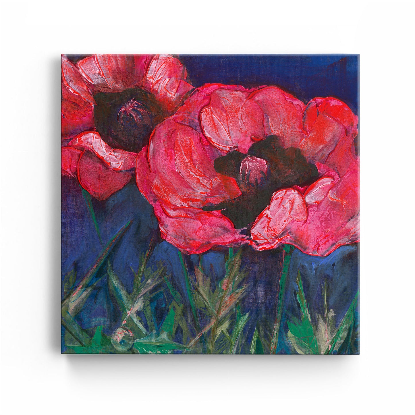 Red Poppies Dark Sky -  Fine Art Print