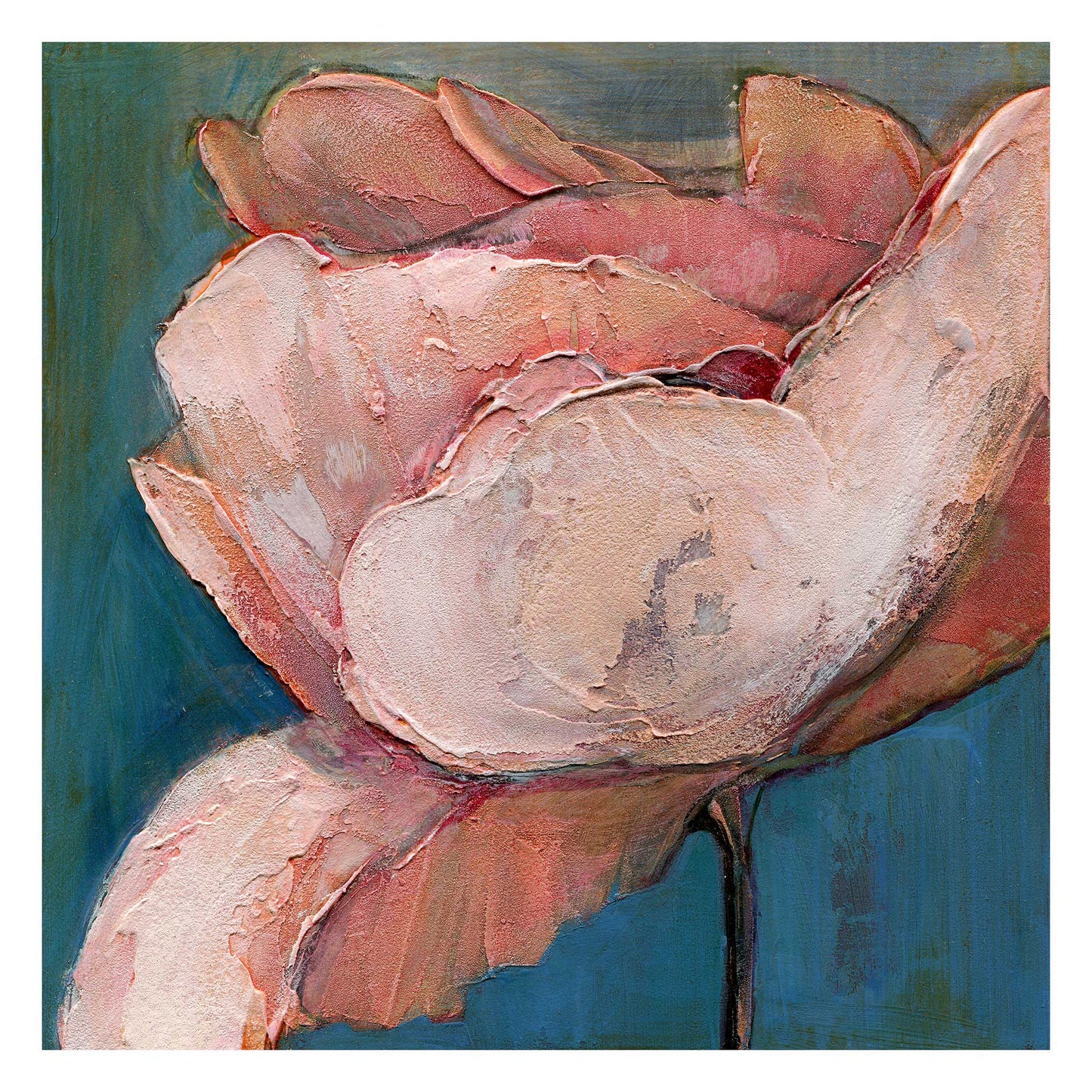 Poppy Portrait II - Fine Art Print