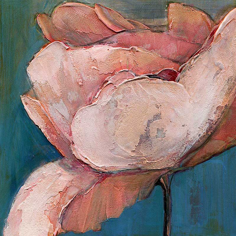 Six Poppy Portrait Paintings 5x5 Gift Card Set