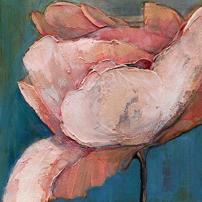 Six Poppy Portrait Paintings 5x5 Gift Card Set