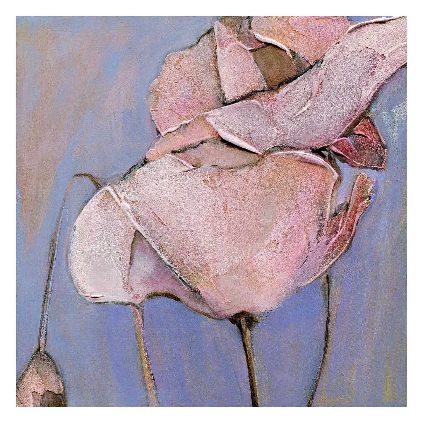 Poppy Portrait III - Fine Art Print