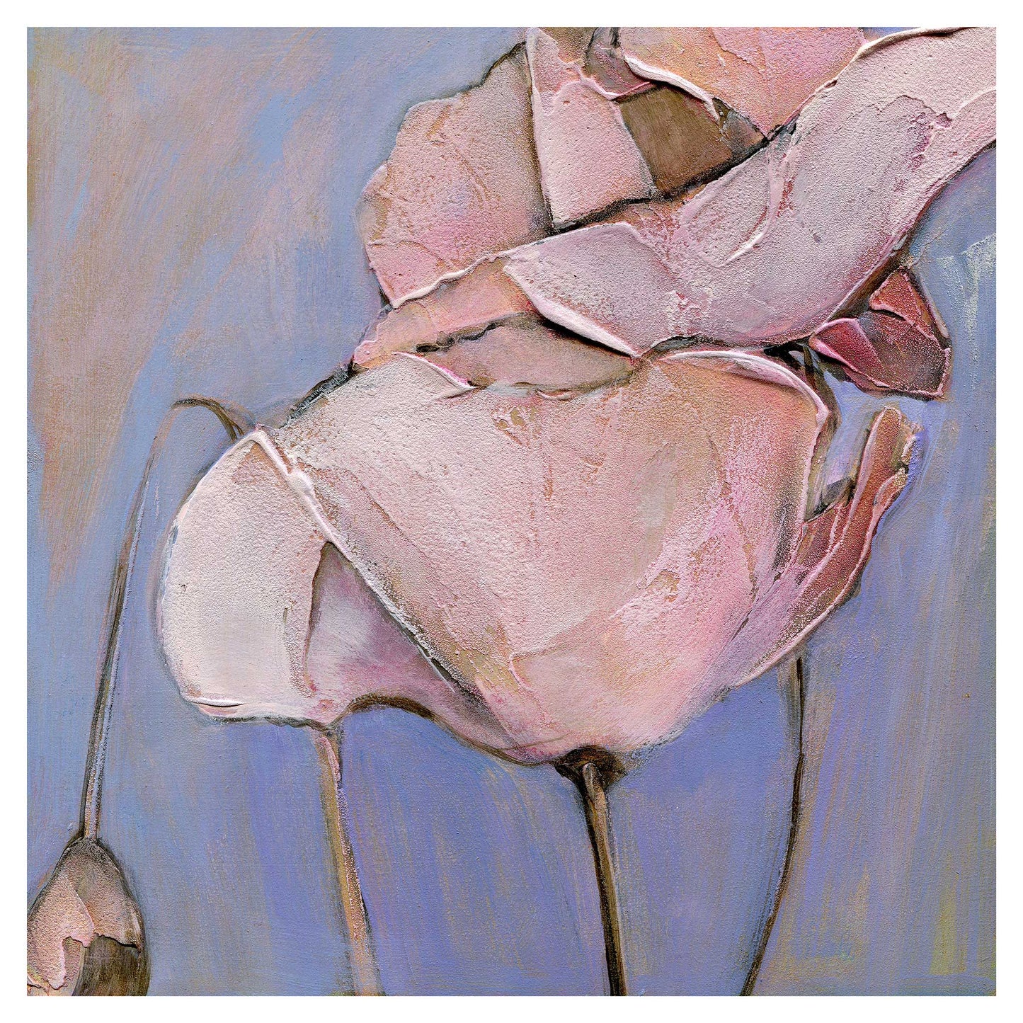 Poppy Portrait III - Fine Art Print