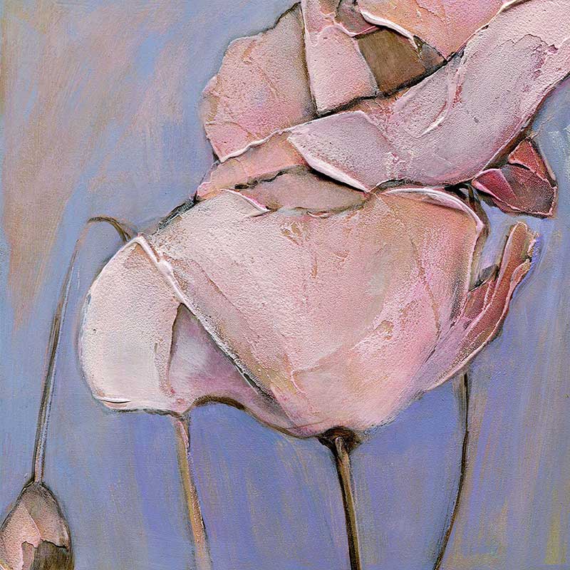 Six Poppy Portrait Paintings 5x5 Gift Card Set