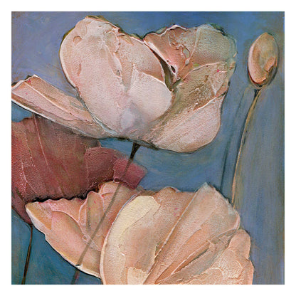 Poppy Portrait IV -  Fine Art Print