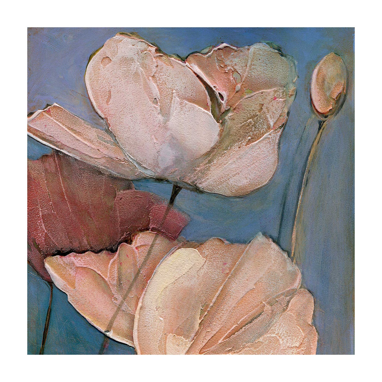 Poppy Portrait IV -  Fine Art Print