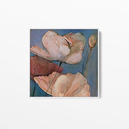 Poppy Portrait IV -  Fine Art Print