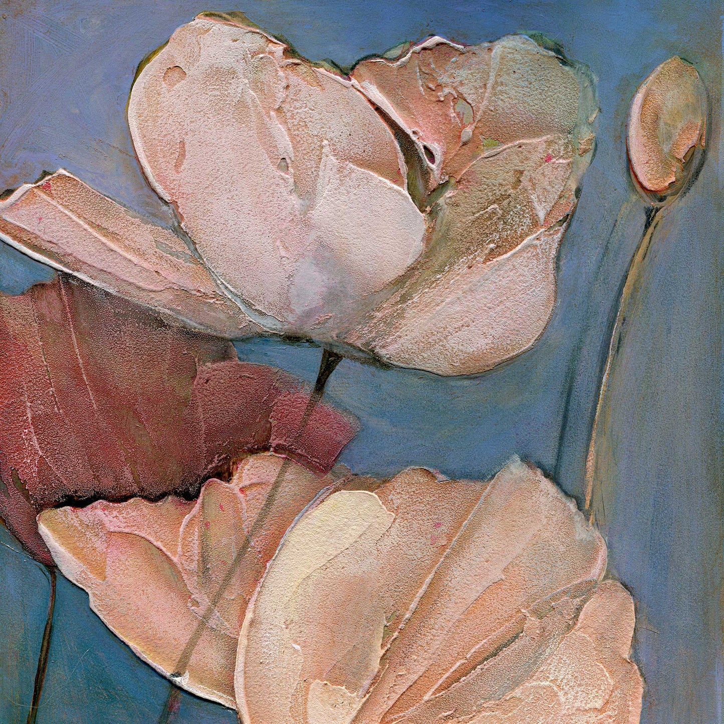 Limited edition archival giclee print of two large blush and peach poppies with heavily textured petals and a small seed pod against a blue-grey background, fourth in the Six Poppy Portrait series