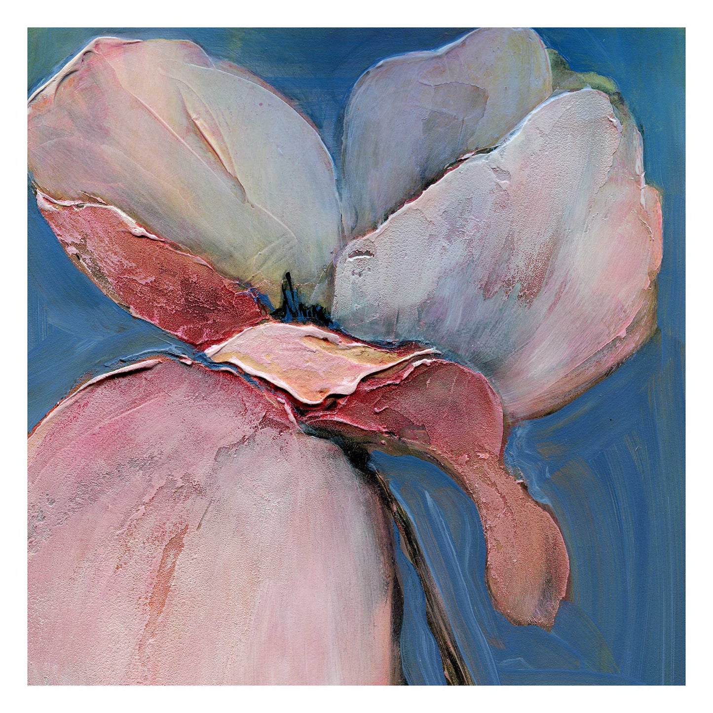 Poppy Portrait V - Fine Art Print