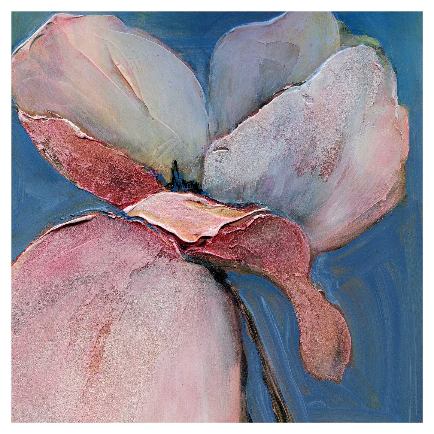 Poppy Portrait V - Fine Art Print