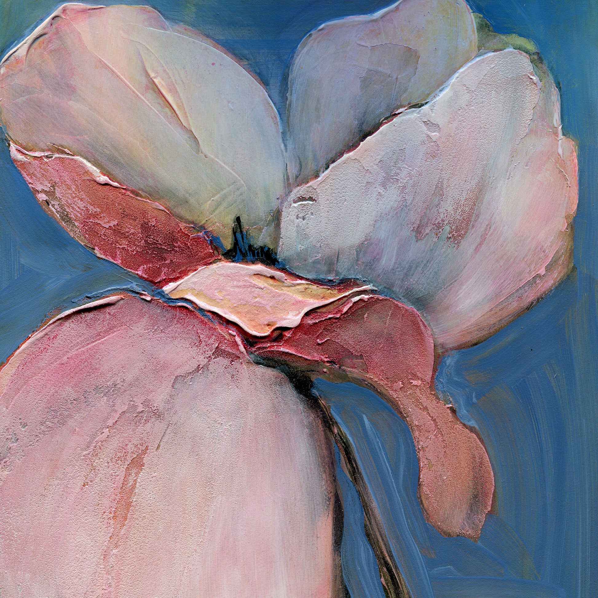 Limited edition archival giclee print of a single large white and pink poppy with open petals filling the frame against a soft blue background, fifth in the Six Poppy Portrait series