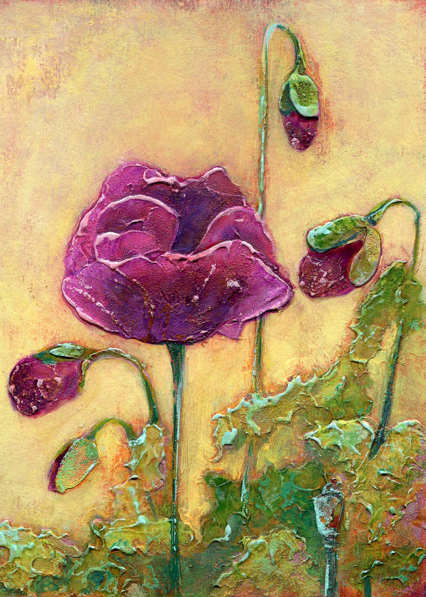 Patty's Plum Poppy - 5x7 inch Print